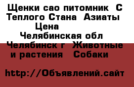 Щенки сао питомник “С Теплого Стана“ Азиаты › Цена ­ 20 000 - Челябинская обл., Челябинск г. Животные и растения » Собаки   
